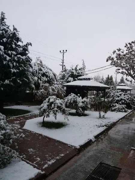 Türkmencamili Sosyal Tesisleri - Photo 4