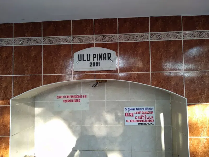 Ulupınar - Photo 2