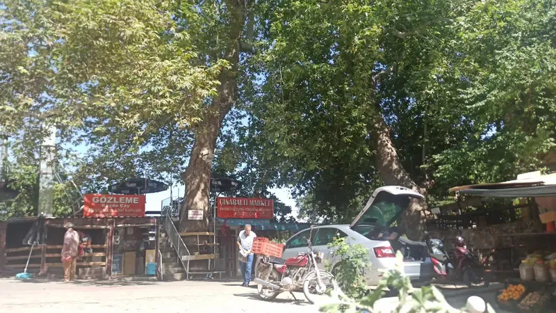 Ulupınar - Photo 6