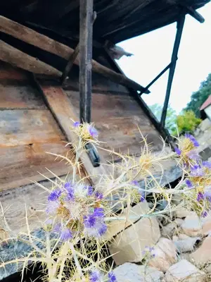 Ulusoy Bağ Evi̇ 🏡