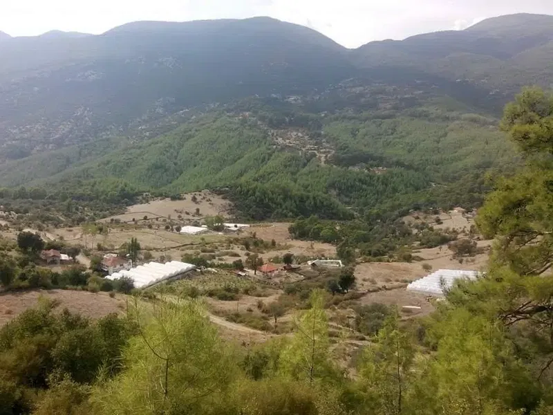 Ulusoy Bağ Evi̇ 🏡 - Photo 5