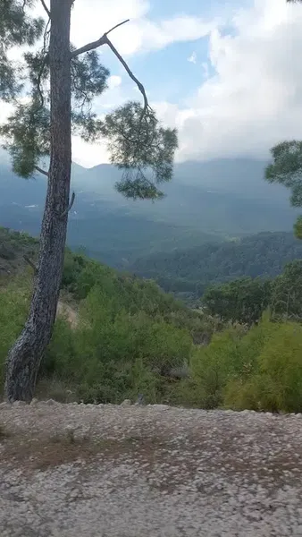 Ulusoy Bağ Evi̇ 🏡 - Photo 6