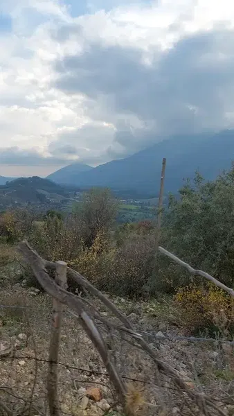 Ulusoy Bağ Evi̇ 🏡 - Photo 7