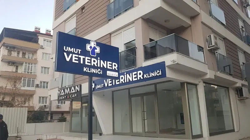 Umut Veteriner Kliniği - Photo 6