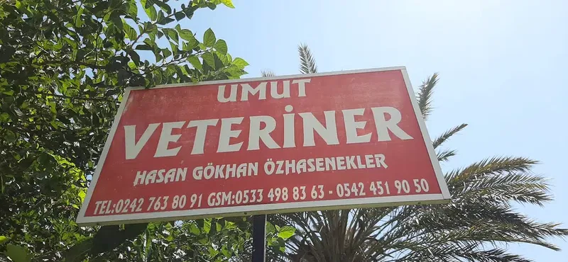 Umut Veteriner Kliniği - Photo 3