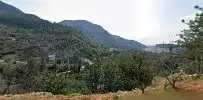 Uraz Mantarcılık