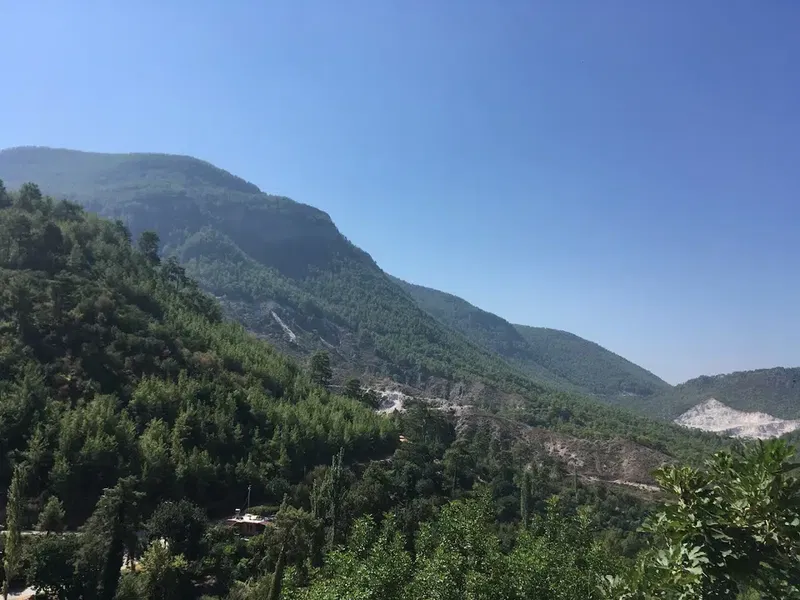 Uraz Mantarcılık - Photo 2
