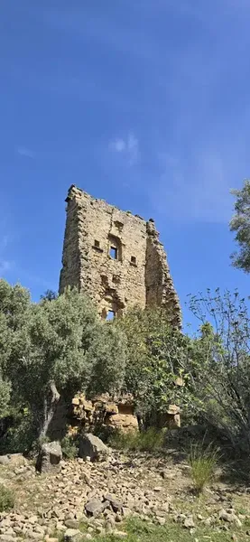 Uzunkale Tarihi Kule - Photo 5