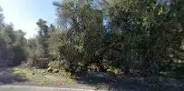 Uzunkale Tarihi Kule - Photo 9