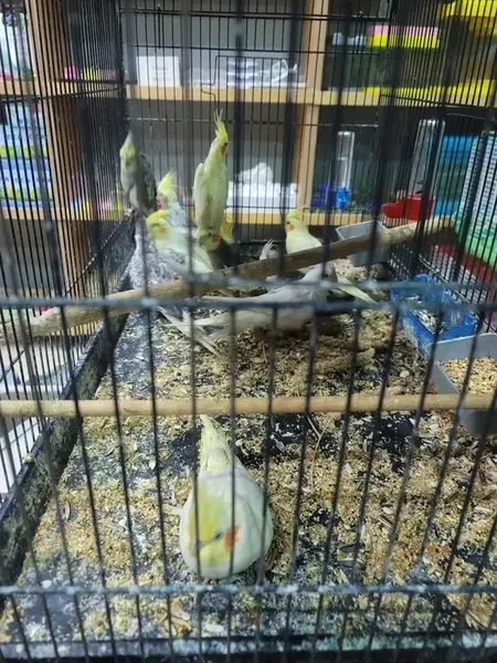 Uğur Petshop - Photo 5