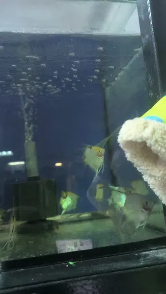 Uğur Petshop - Photo 6