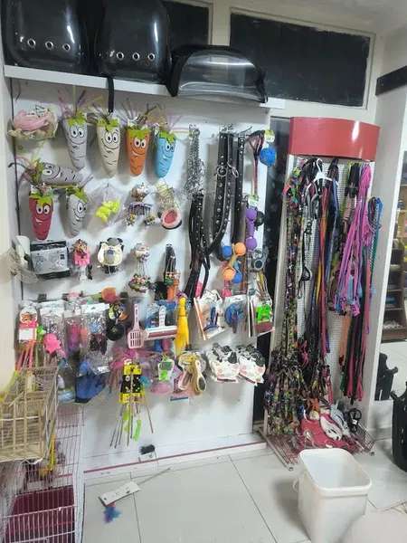 Uğur Petshop - Photo 9