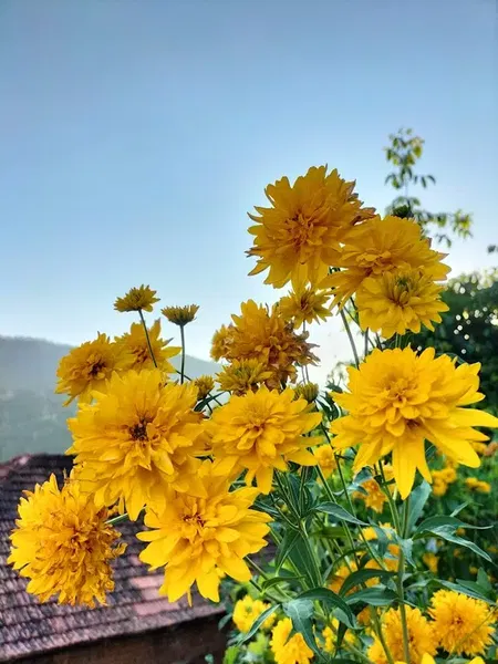 Uğurlar yeri - Photo 1