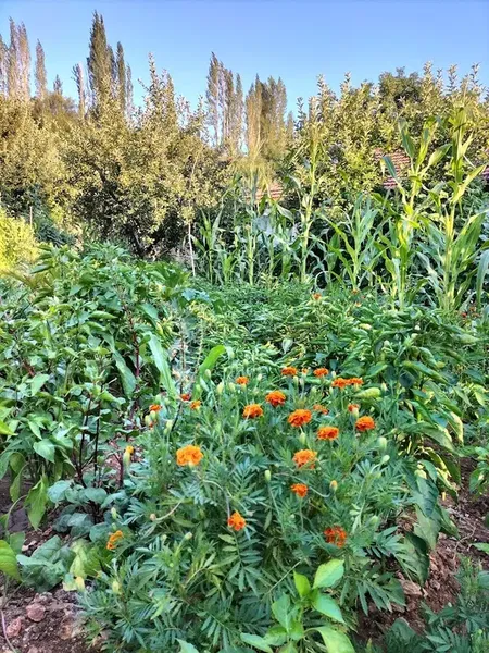 Uğurlar yeri - Photo 2