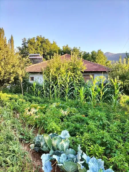 Uğurlar yeri - Photo 5