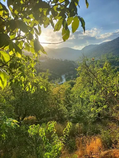 Uğurlar yeri - Photo 6