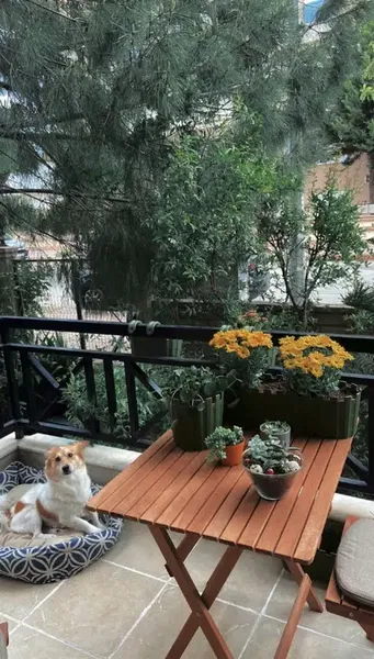 VagusPoint Fizyoterapi Konyaaltı - Photo 6