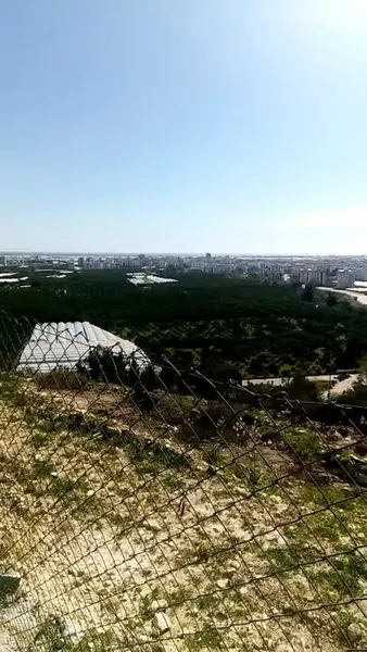 Vefa Tepesi - Photo 2