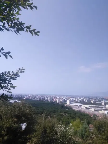 Vefa Tepesi - Photo 4