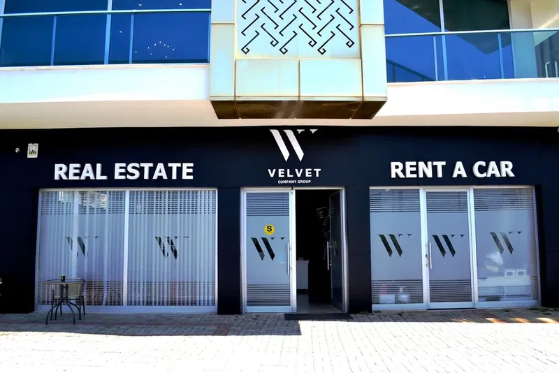 Velvet Real Estate - Photo 3