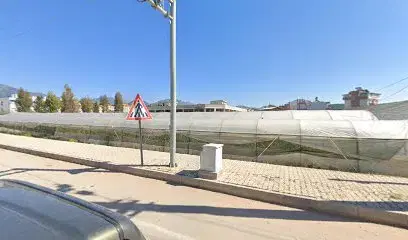 Vg Ahşap