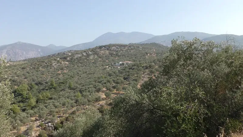 Villa huma 2 - Photo 3