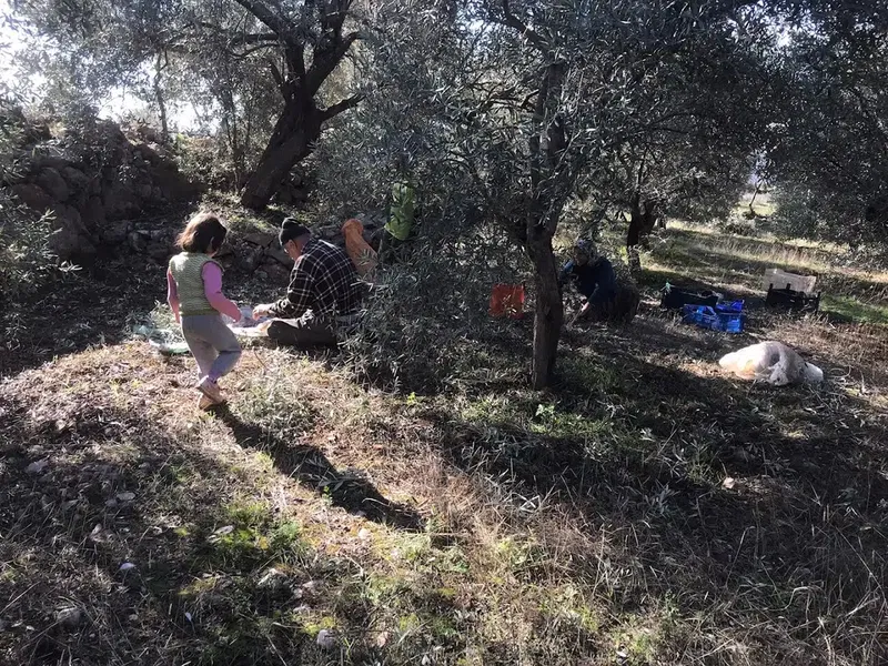 Villa Kos - Photo 3