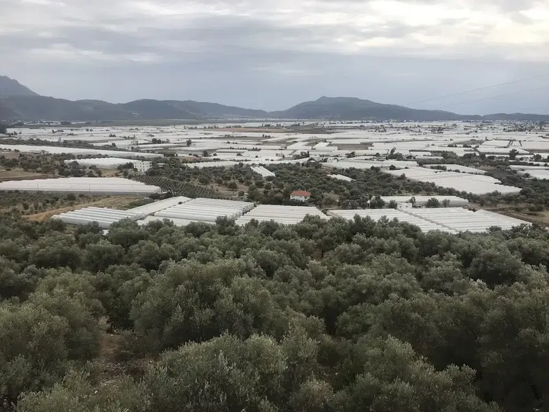 Villa Kos - Photo 9