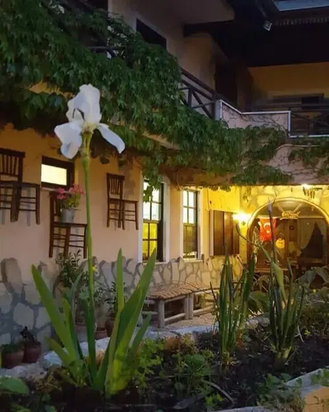 Villa Lapin Hotel - Photo 5