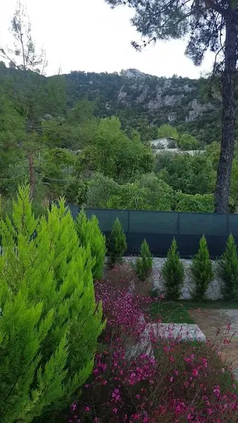 Villa Latte - Photo 2