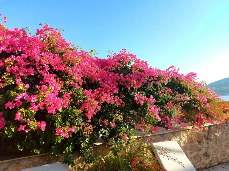 Villa Papatya - Photo 2