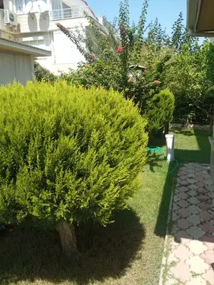 Villa star