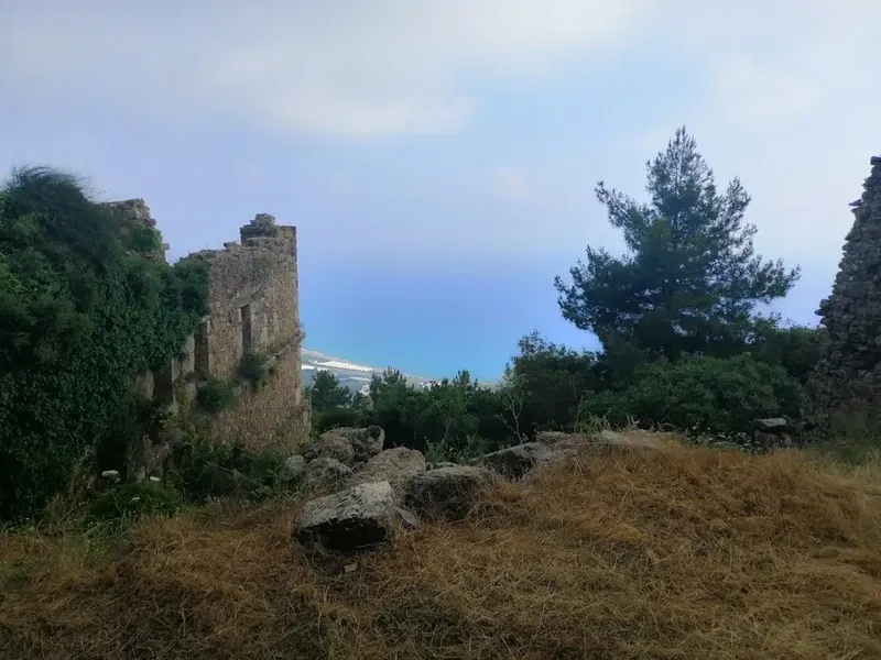 Villa Valencia - Photo 3