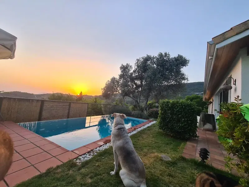 Villa Yasemin - Photo 6