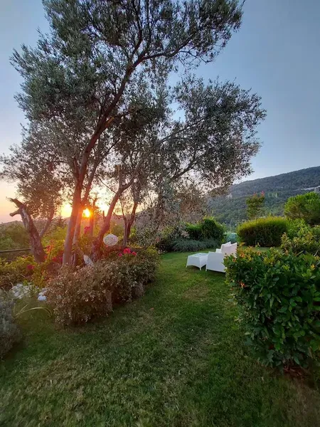 Villa Yasemin - Photo 10