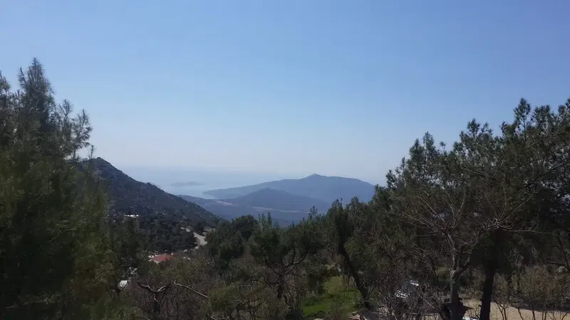 Villa Zeynep Duru - Photo 6