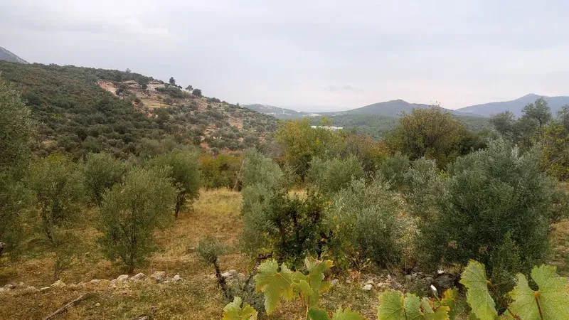 Villaamars - Photo 7