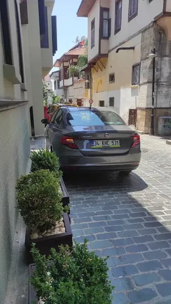 Vip İlaçlama - Photo 1