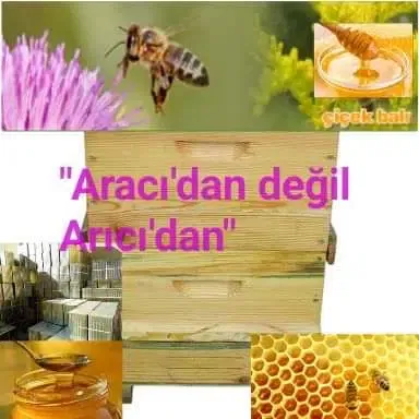 Viz Viz Aricilik & Bal Ürünleri̇ - Photo 9