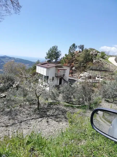 Vural usta - Photo 3