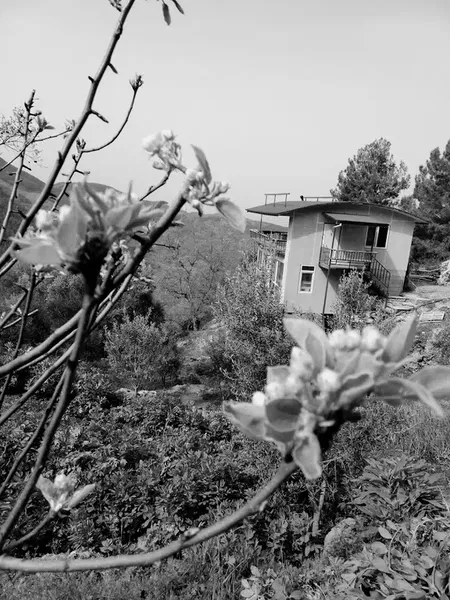 Vural usta - Photo 7