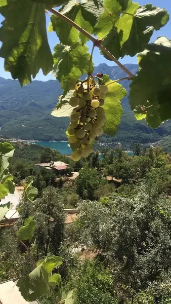VUSLAT Çiftliği - Photo 4