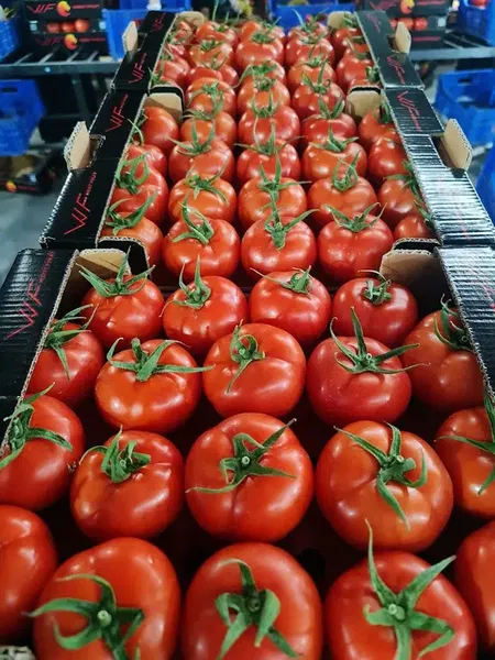 West Fruit Kınık - Photo 1