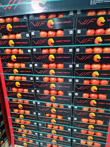West Fruit Kınık - Photo 3