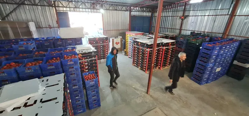 West Fruit Kınık - Photo 6