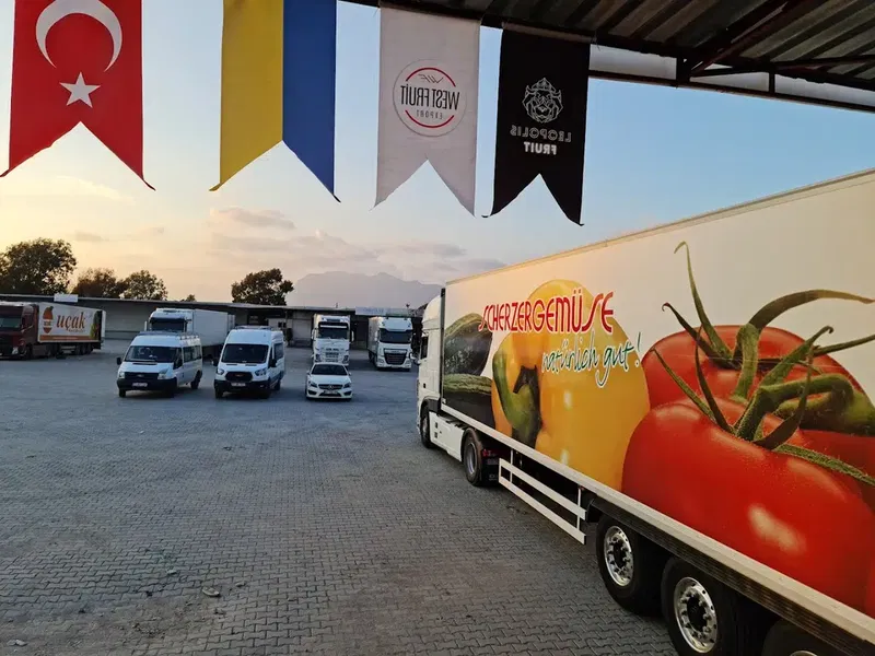 West Fruit Kınık - Photo 10