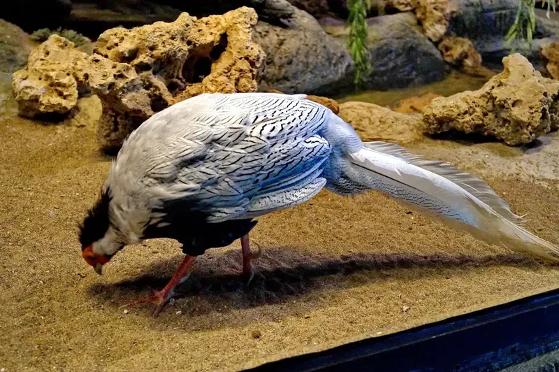 Wild Park Antalya - Photo 9
