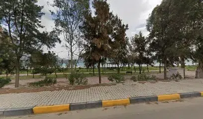 Yakaryus plajı