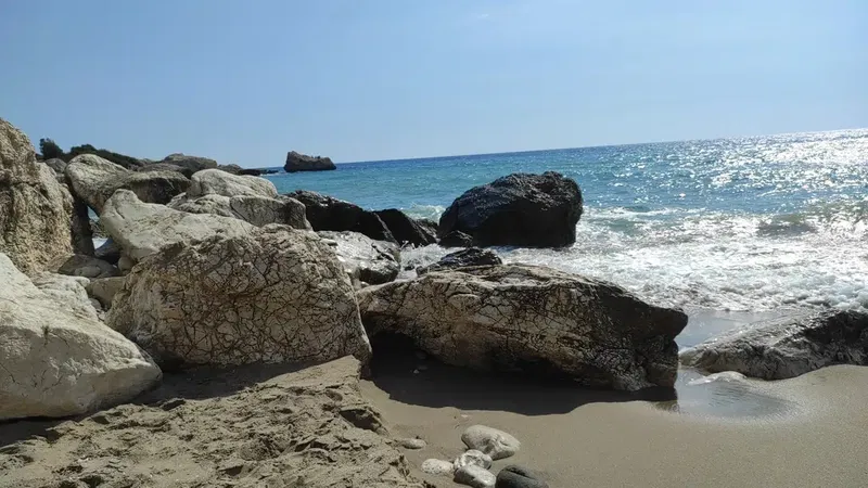 Yalı plajı - Photo 5