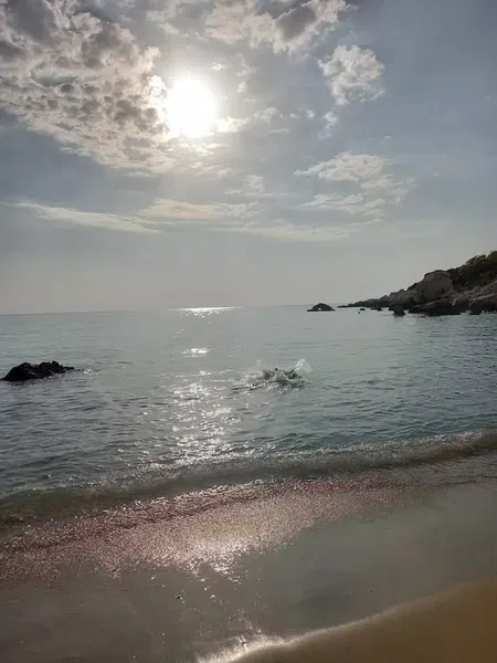 Yalı plajı - Photo 7